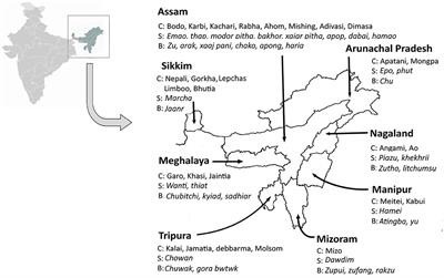 Linking the Diversity of Yeasts Inherent in Starter Cultures to Quorum Sensing Mechanism in Ethnic Fermented Alcoholic Beverages of Northeast India